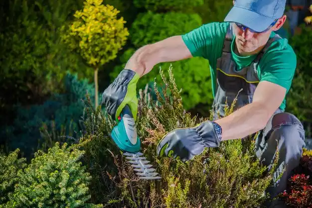 landscaping services Ottoville